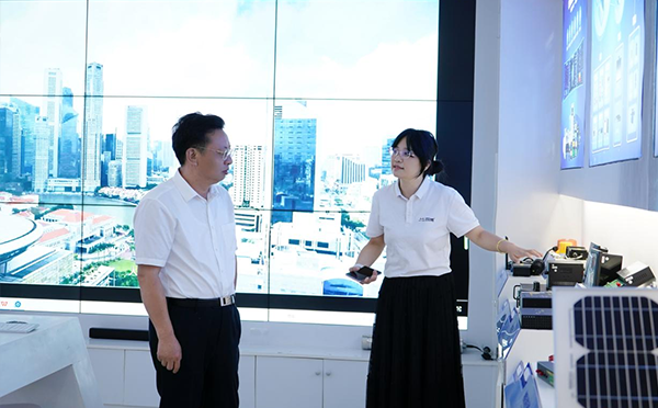龙8